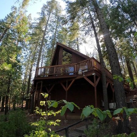 Beautiful Cabingated Parkpinecrest & Dodge Ridge Villa Long Barn Exterior foto